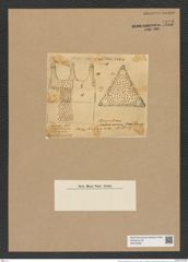 Triceratium dobreeanum Grev. (de-Toni-Nr.: Genus 140, Species 3759) Zeichnungen Sammlung Grunow Nr. 7272 (NHMW-BOT-W0376286)
